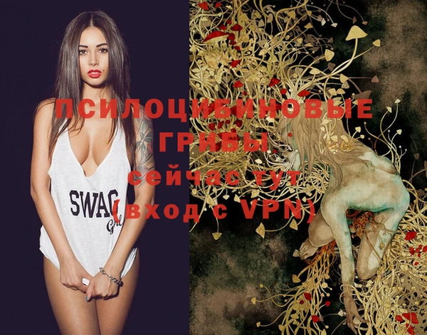 эйфоретик Осташков
