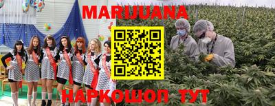 СК Бийск