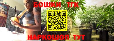 СК Бийск
