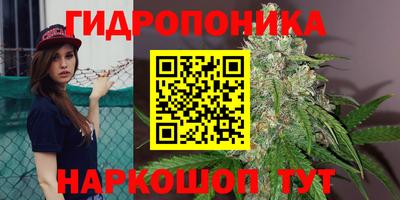 СК Бийск