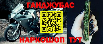 СК Бийск