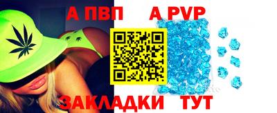 СК Бийск