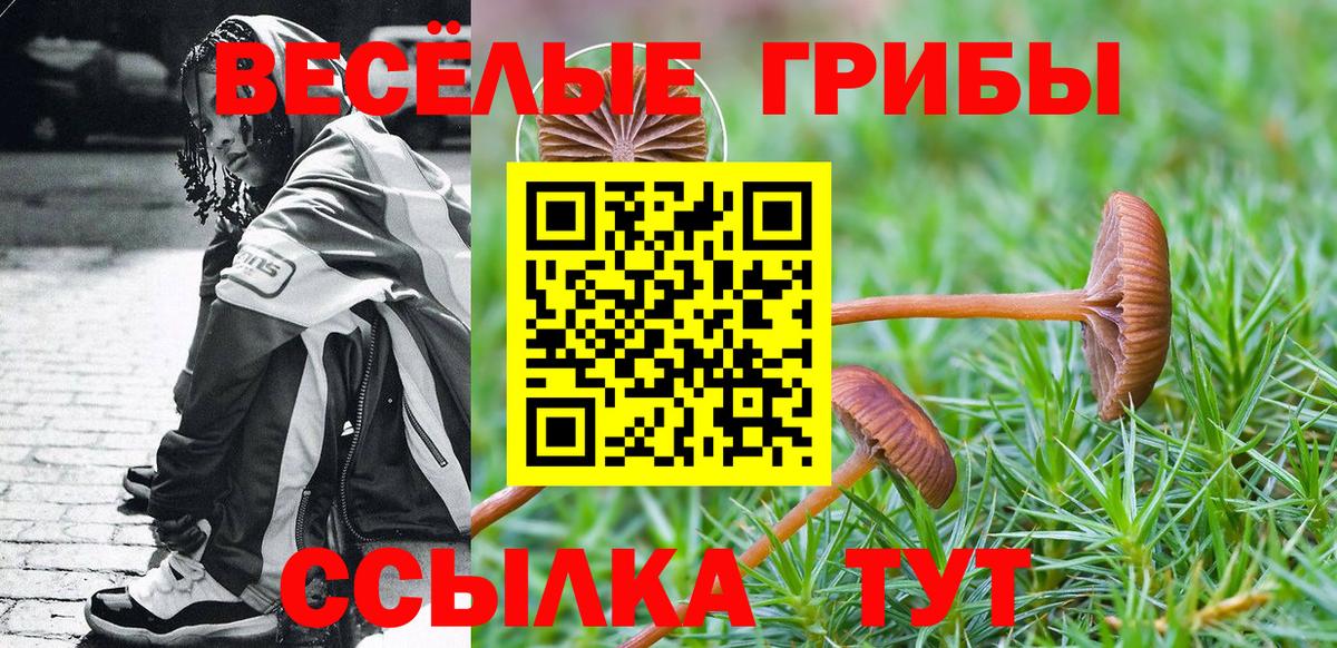 Псилоцибиновые грибы прущие грибы Волжск