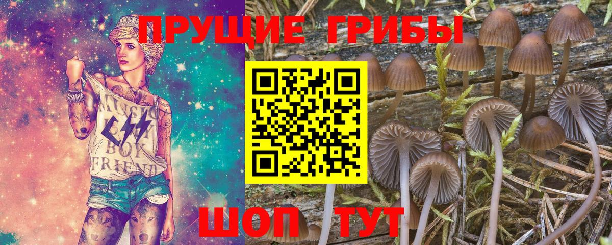 Псилоцибиновые грибы Cubensis  Вход с VPN  Волжск 