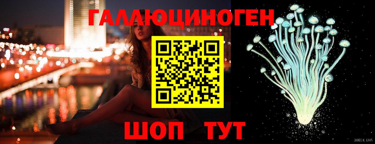 Галлюциногенные грибы Psilocybe Волжск