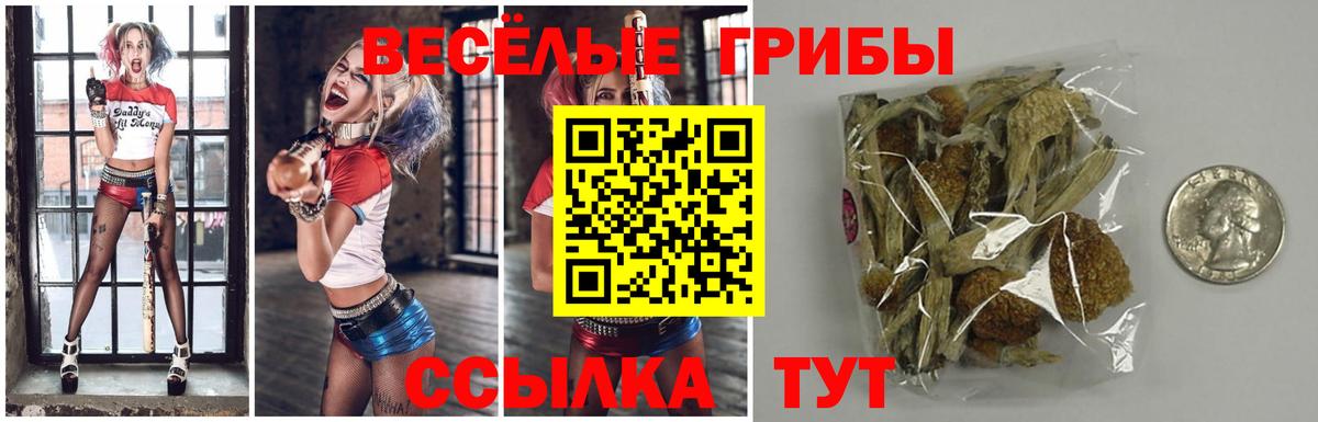Псилоцибиновые грибы Magic Shrooms  Волжск  Псилоцибиновые грибы MAGIC MUSHROOMS 